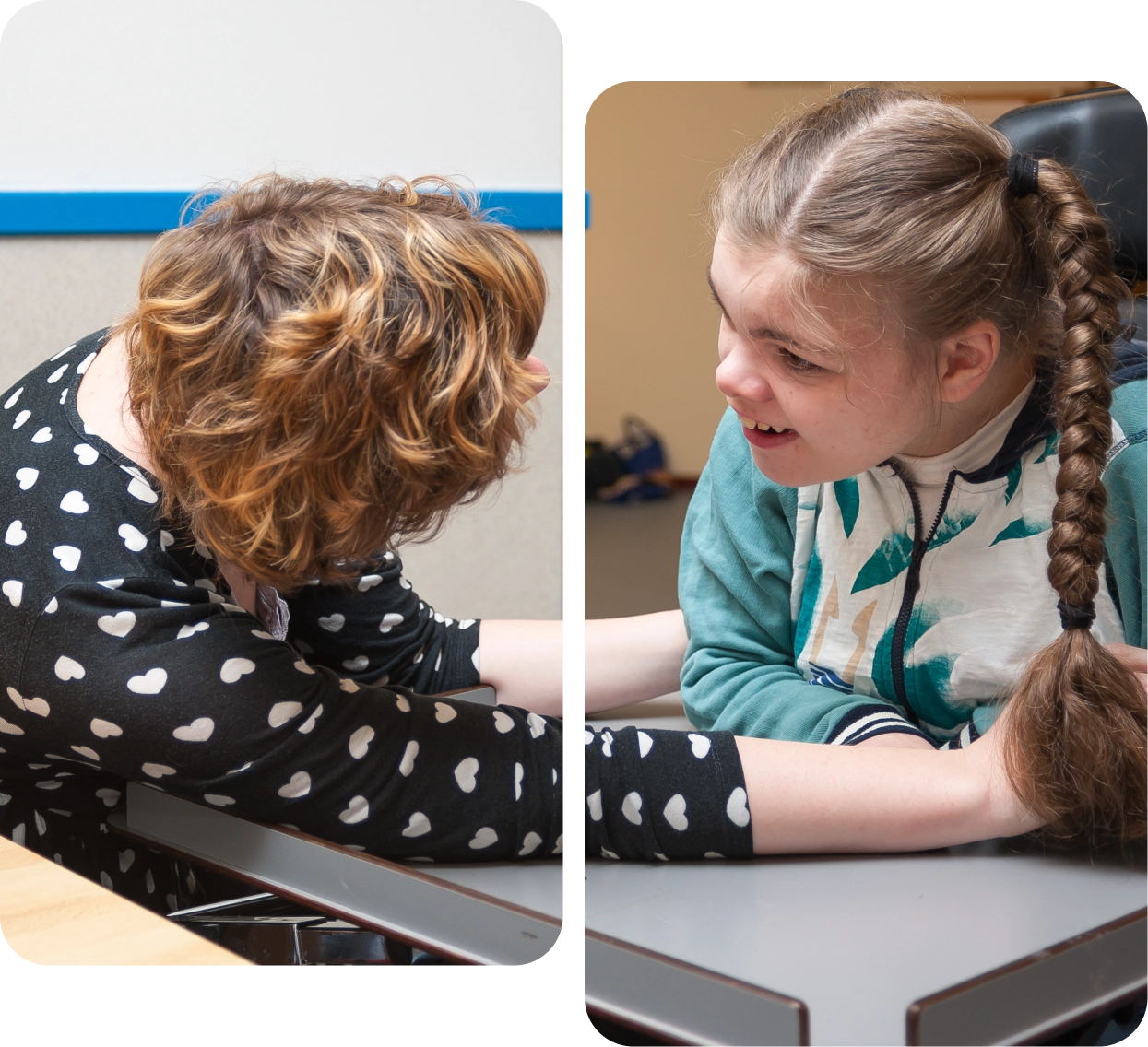 Serenity Disability Services